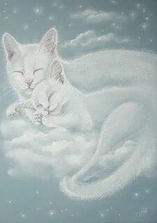 Кошка белое небо