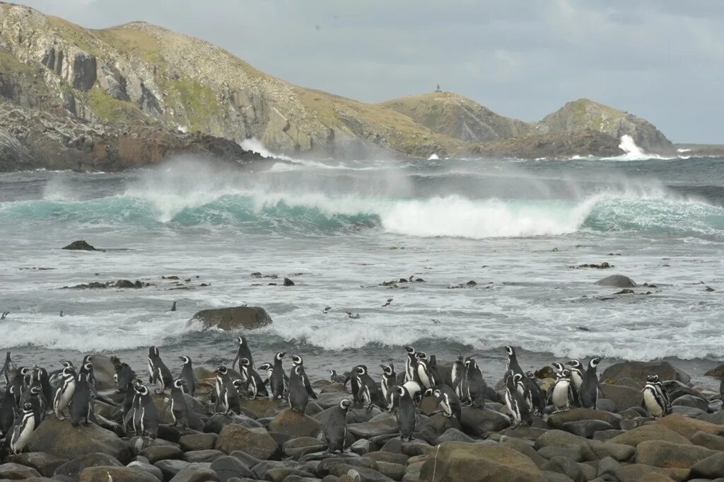 Кабо де орнос. Аргентина мыс горн. Мыс горн 2010. Огненная земля архипелаг мыс горн. Ушуайя мыс горн.