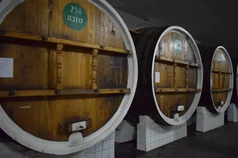 Массандровский винзавод экскурсии