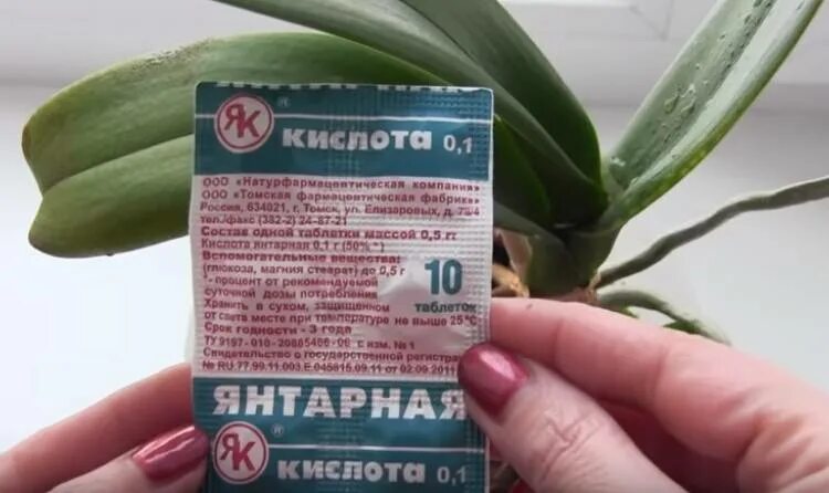 Янтарная кислота для растений комнатных цветов. Янтарная кислота для комнатных растений. янтарная кислота для полива комнатных растений. янтарная кислота для полива цветов. янтарная кислота для комнатных растений в таблетках.
