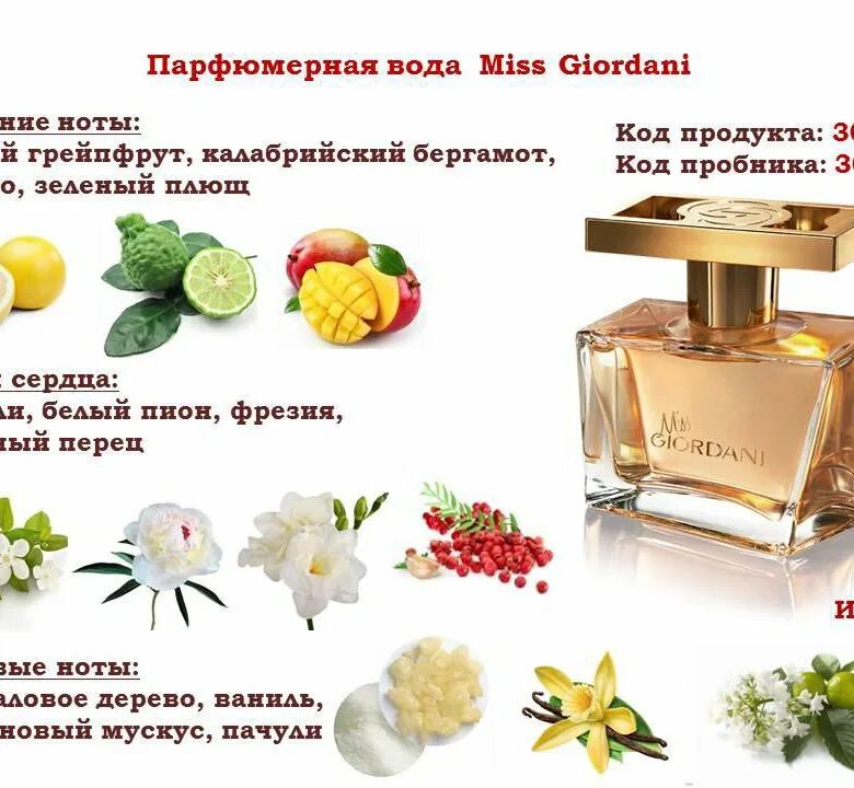 Ноты фруктовых ароматов. Туалетная вода Oriflame Miss Giordani. Духи Орифлейм женские Мисс Джордани. Состав туалетной воды Джордани Голд Орифлейм. 30399 Орифлейм туалетная вода.