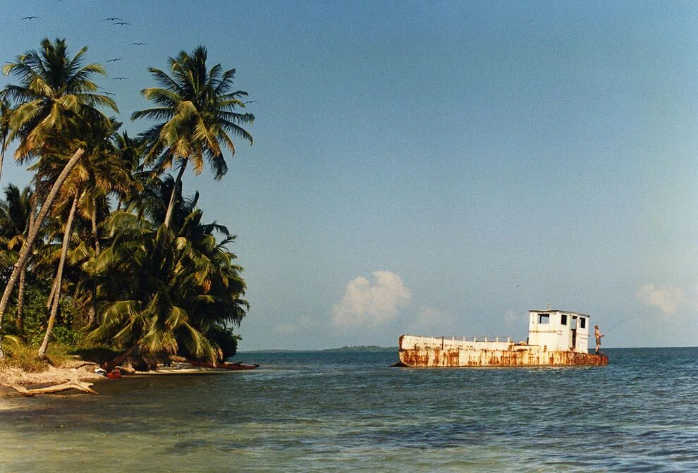 робинзон крузо выживание на острове. про необитаемый остров кораблекрушения. про необитаемый остров кораблекрушения. фантоцци робинзон крузо. про необитаемый остров кораблекрушения.