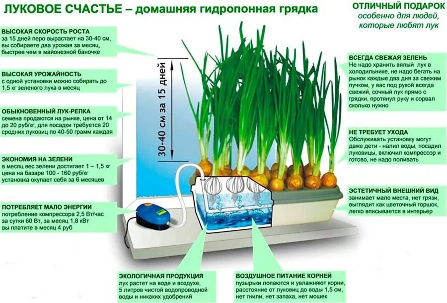 Перо гидропоника