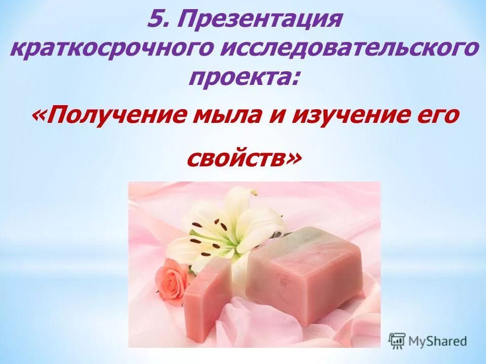 краткосрочный исследовательский проект