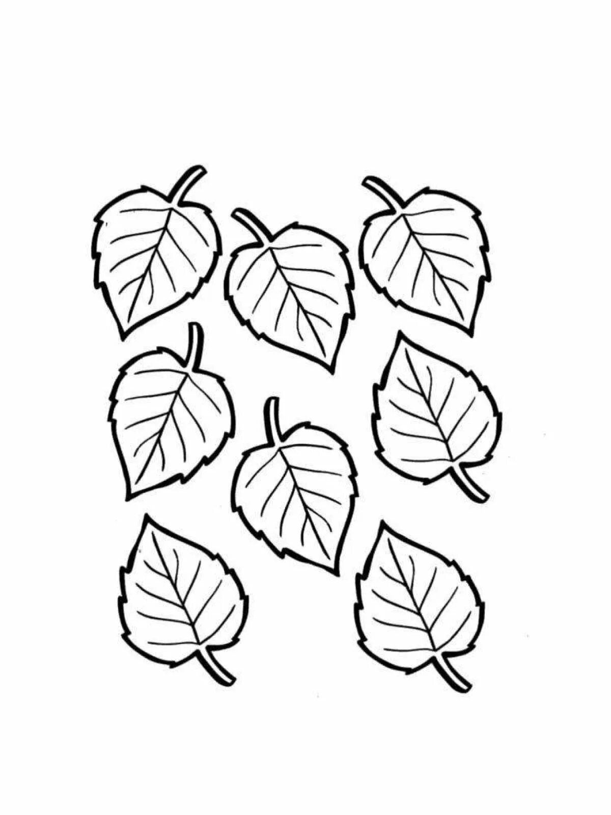 Лист березы раскраска. Листочки раскраска. Раскраска листьев. Листья деревьев раскраска. Осенние листочки раскраска.