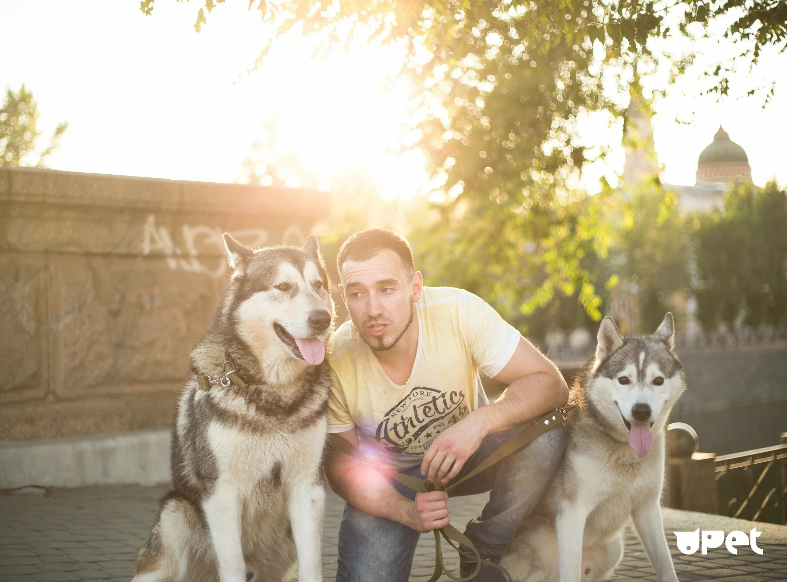 Хаски лекси рокки. Хасмут фото. Husmut : хасмут / хаски и маламут / на прогулке. Husmut : хасмут / хаски и маламут /. Маламут лекси.