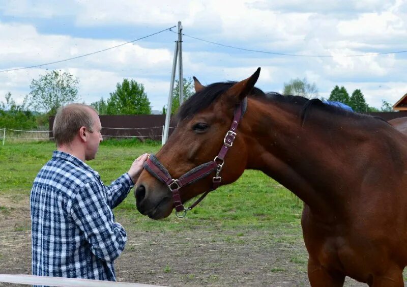 дорога домой муром