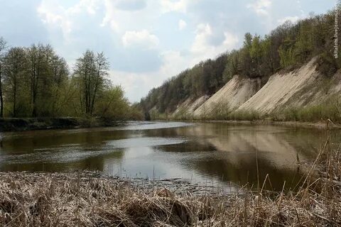 Типичный льгов курская