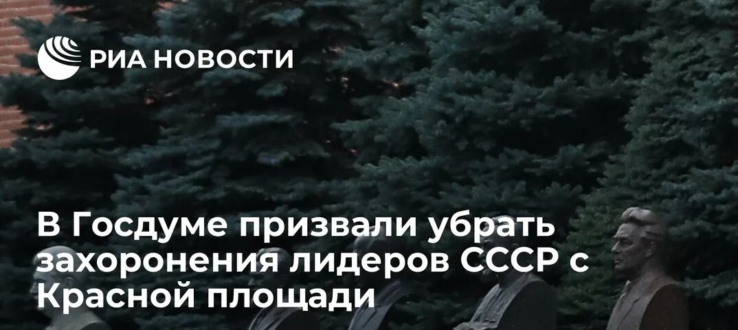 В госдуме призвали дарить беременность