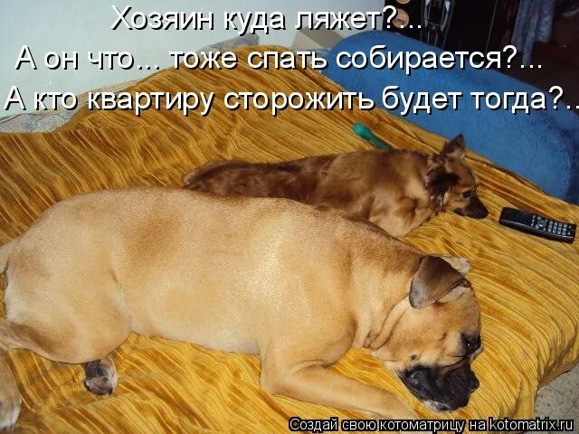 Поспи пройдет