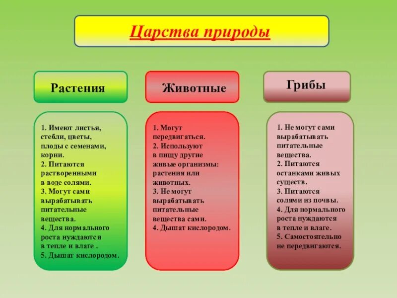 Характеристика царств природы. Царства природы. Царства природы таблица. 4 Царства природы. Царства природы главные особенности.