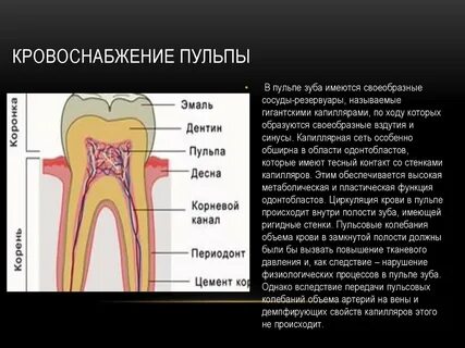 Изменения в пульпе