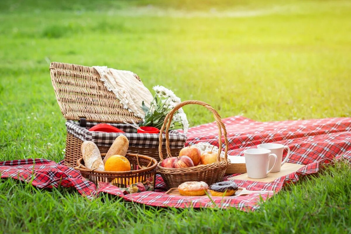 Пикник цвет. Пикник на природе. Корзинка для пикника на природе. Корзина для пикника с едой. Летний пикник на природе.