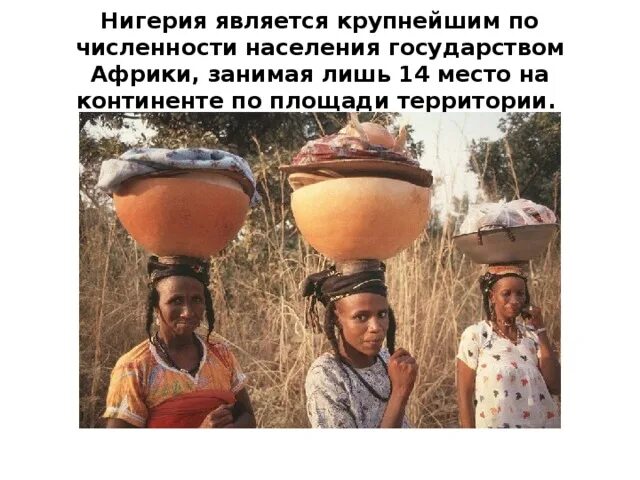 Какое место по численности населения занимает африка. Нигерия население презентация. крупнейшая по численности населения государства африки. нигерия самая крупная по численности населения страна африки. нигерия доклад.