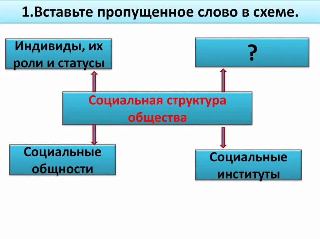 Социальная структура общества статусы и роли