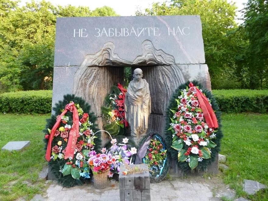 Красное село мемориал. Красное село мемориал братская могила. Братская могила скорбящая мать красное село. Вечный огонь красное село. Мемориал скорбящая мать спб.