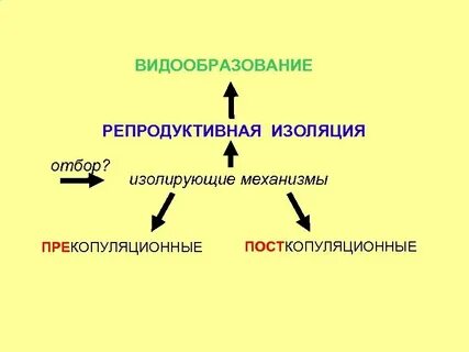 Репродуктивная изоляция популяции