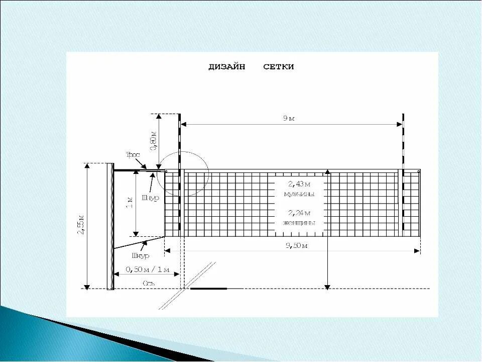 сетка волейбольная. волейбол на белом фоне. пионербол сетка. волейбольный мяч и сетка. мяч для волейбола.
