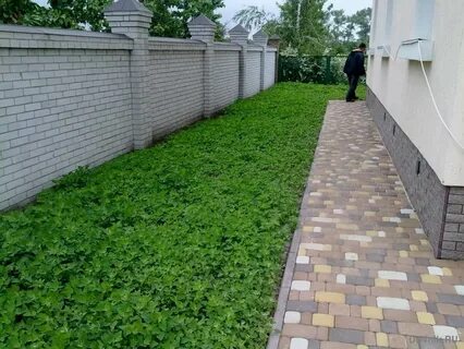 Как называется ровный участок