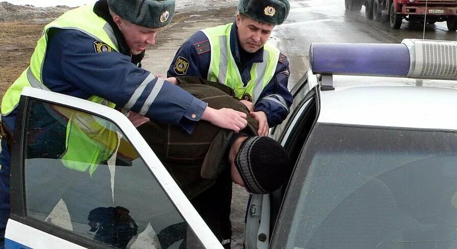 Угонщики автомобилей задержаны. Сажают в полицейскую машину. Аресты автомобилей сайт гибдд