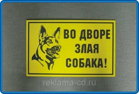 Собака без мата