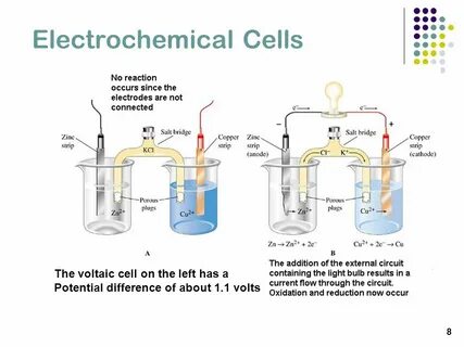 Their cell