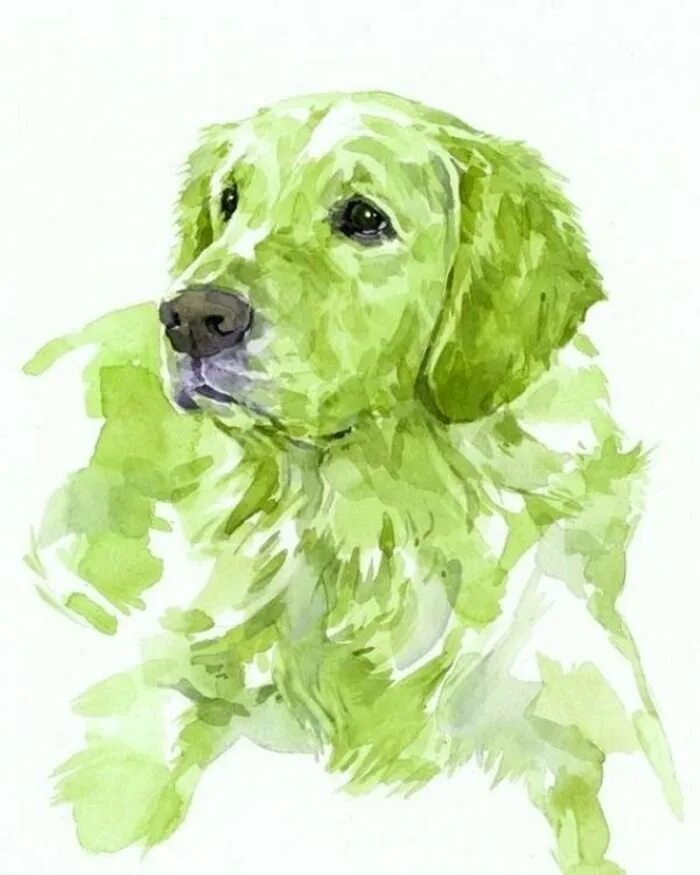Рисунок в зеленых тонах. Рисунки акварелью в зеленых оттенках. Портрет в зеленых тонах. Собака рисунок карандашом.