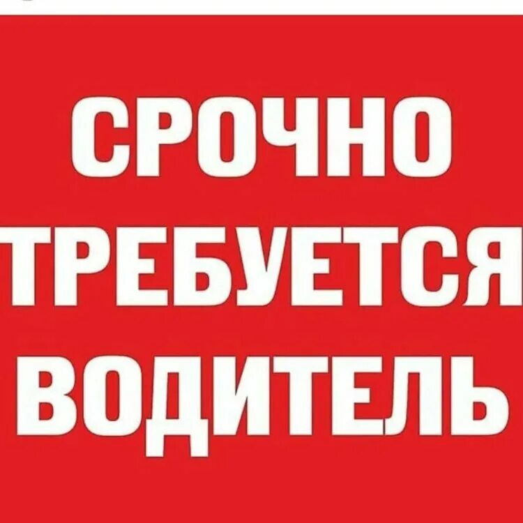 Требуется водитель категории ц. Требуется водитель категории с. Требуется водитель категории е. Срочнлтребуется водитель. Требуется водитель категории ц.