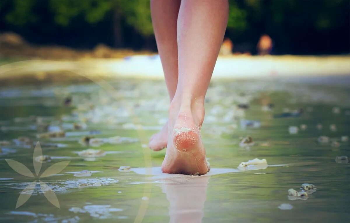 Ноги в воде. Женские ноги в воде. Женские ноги в воде. Вода босые ноги. Мужские ноги идут.