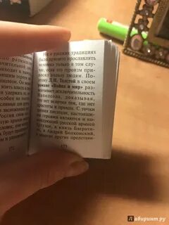 Русский язык литературные аргументы