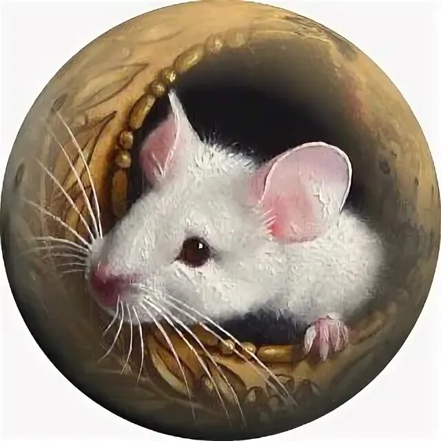 Мир мышей. Круглая мышка. Мыши в живописи. Мышка в круге. Мышь картина.