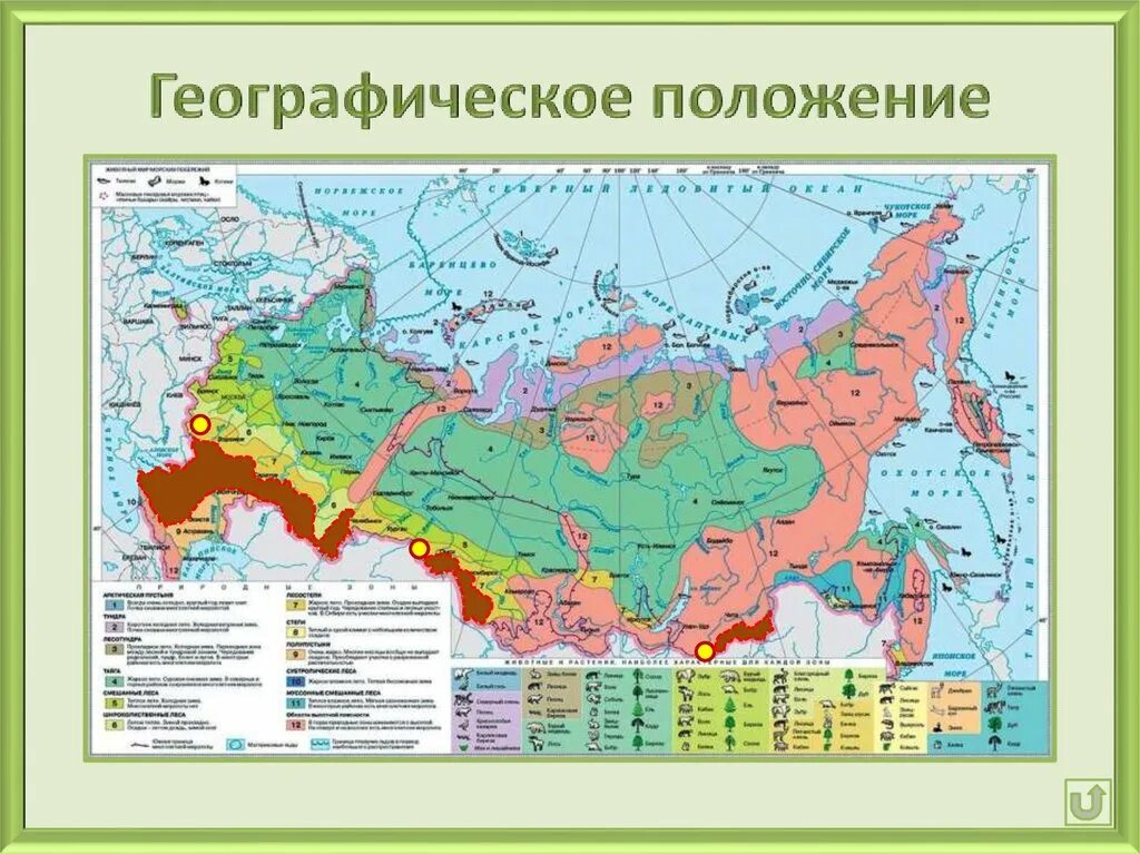 Географическое положение Степной зоны в России. Степи на карте России. Зона степей на карте России. Географическое положение степи в России на карте России.