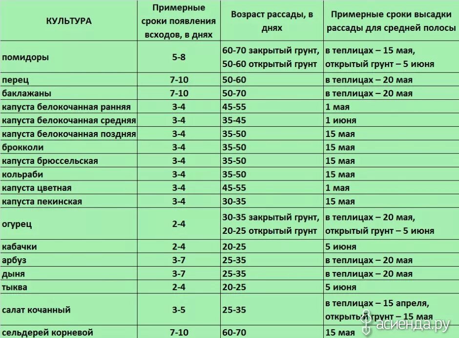 Какие семена можно сажать в марте. Таблица посева семян на рассаду в открытый грунт. Таблица сроков посадки капусты рассаду. Таблица сроков посева семян овощей на рассаду. Таблица сроки посева в открытый грунт семена.