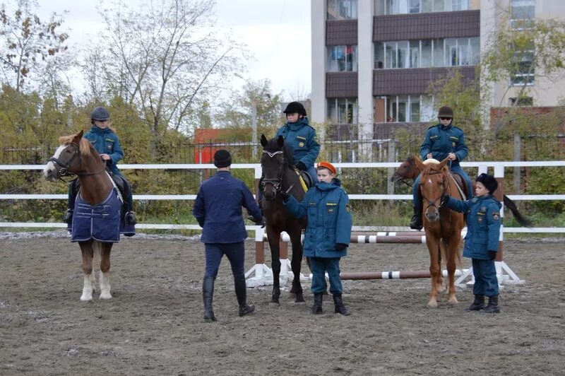 Барьеры для конкура 90. Лошадь танюха. Автомойка кыштымская озерск. Вывеска конноспортивный клуб мустанг. Кск мустанг озерск.