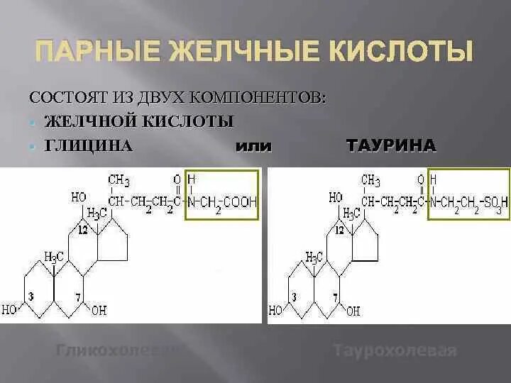 Липиды желчных кислот. Холевой кислоты с глицином и таурином. Желчные кислоты глициновые. Холевая кислота конъюгация с таурином и глицином. Строение желчных кислот.