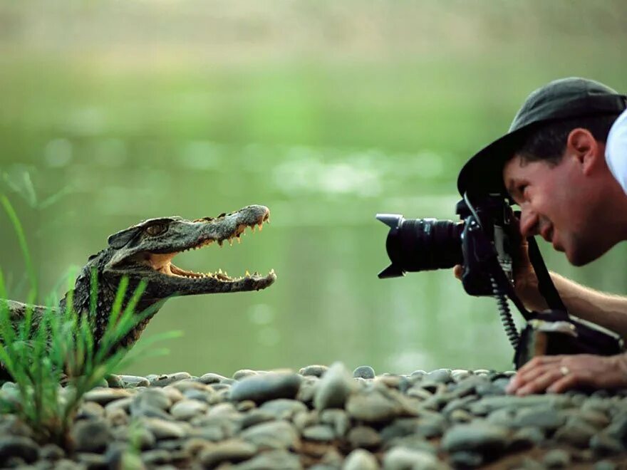 Nature работа