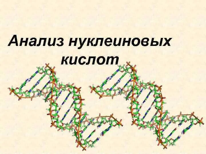 Нуклеиновые кислоты анализ. Амплификация нуклеиновых кислот. Нуклеиновые кислоты анализ. Строение нуклеиновые кислоты днк схема. Расщепление нуклеиновой кислоты формула.