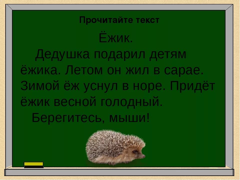 Основная мысль текста ежик. Текст про ежика. Рассказ про ежика. Изложение Ежик. Рассказать о Ёжике.