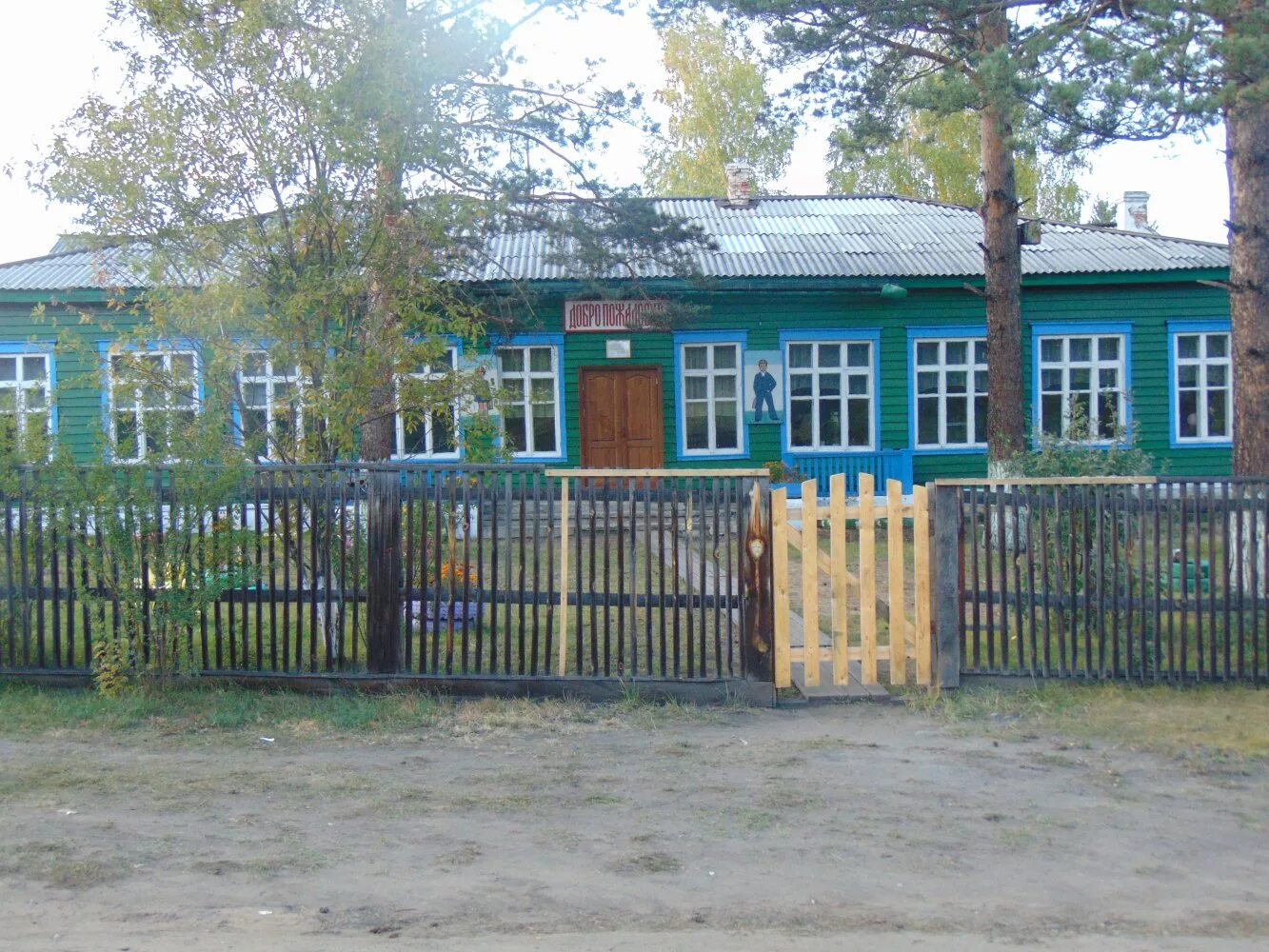 баторова роща иркутской области. участок у леса. сосновый иркутская область. сосновый древостой. сосновый иркутская область.