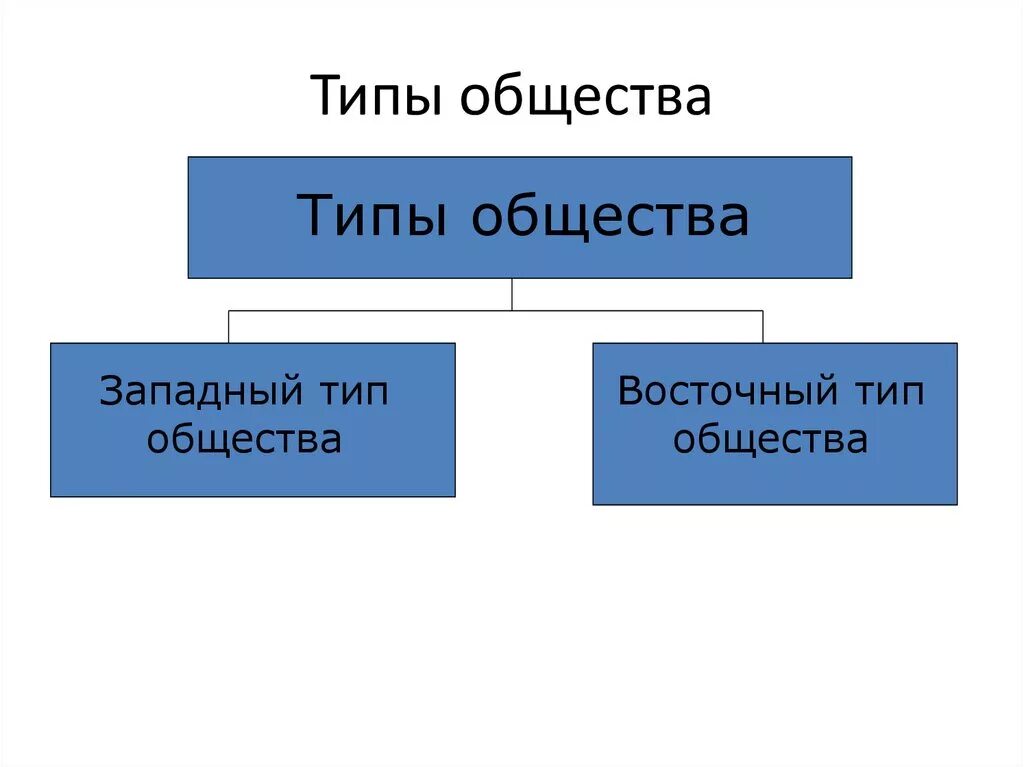 Растительные сообщества. Схема растительного сообщества. Синтаксономия. Типы сообществ лоренц. Сообщества животных виды сообществ.