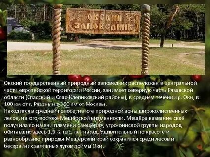 Укажите заповедник который находится в лесной зоне