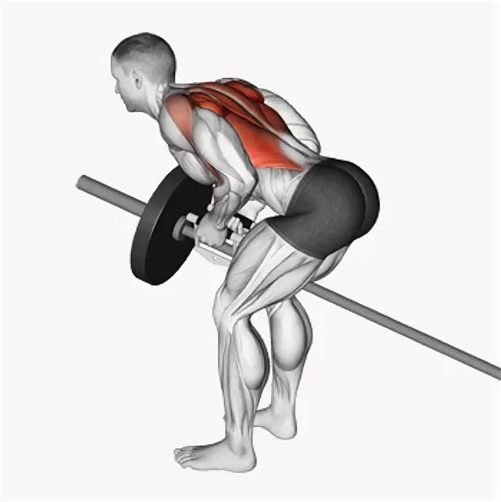 T bar rows. T bar rows