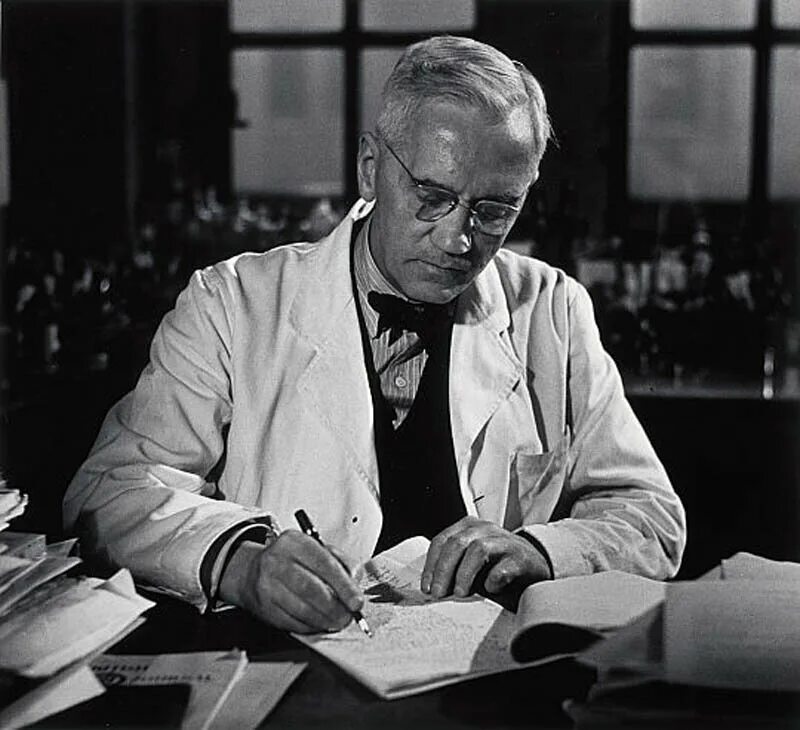 Alexander fleming discovered penicillin. Флеминг ученый.