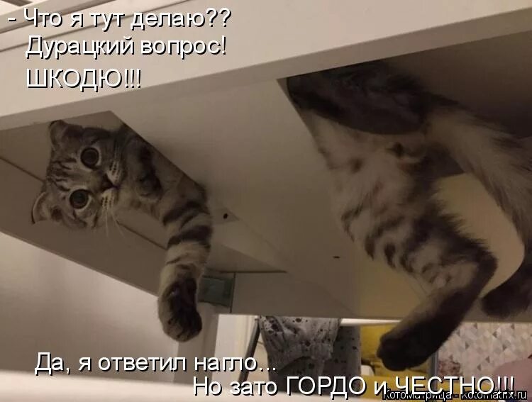 Как ответить наглым
