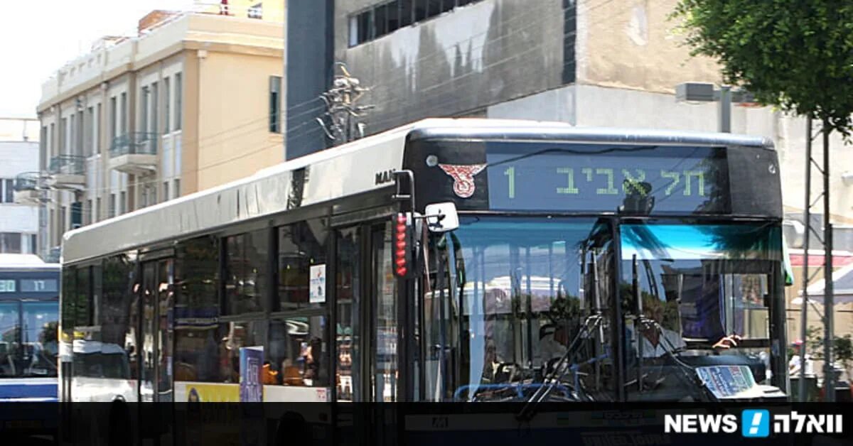 Фирма автобус 1. Автобусные компании Израиля. Израильские автобусы. Общественный транспорт Израиля. Автобусы в Израиле городские.