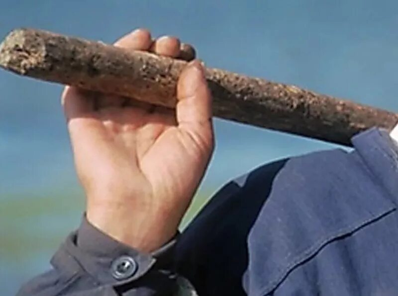 Избил деревянной палкой. Трость для фокусов. Дубинка пр-90. Ровная деревянная палка. Бодибар proxima зелёный 2 кг.