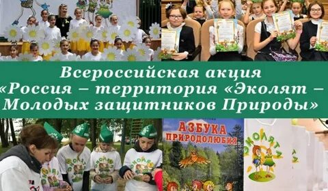 Зеленый остров мероприятия