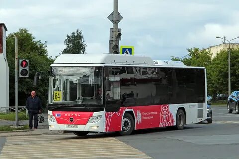 64 автобус пермь