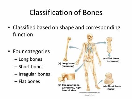 Bones how