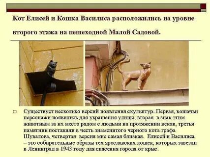 Памятники коту елисею и кошке василисе